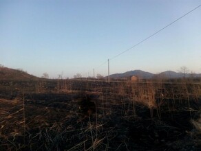 В Амурской области крупный районный центр остался без электроэнергии в результате пала