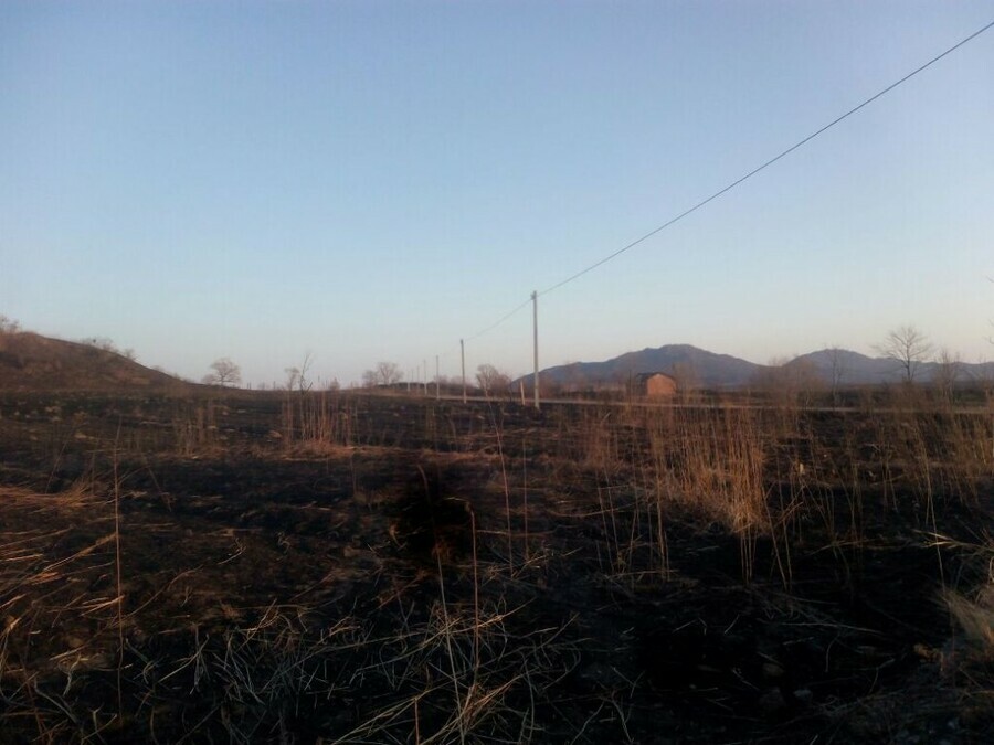В Амурской области крупный районный центр остался без электроэнергии в результате пала