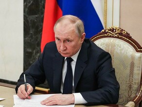 Путин введет губернаторам пожарный KPI Глава Минприроды Александр Козлов внес предложения