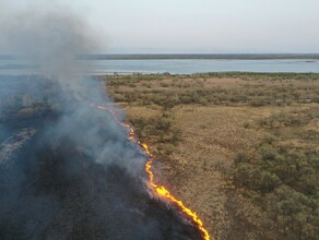 Крупнейший пожар в Благовещенском районе запечатлел дрон видео 