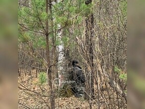 До сих пор не установлена личность мужчины чье тело найдено в районе Плодопитомника