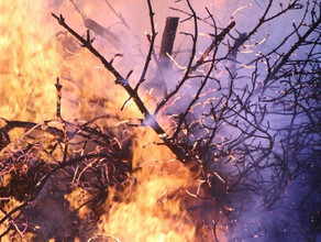 В Приморье во время тушения лесного пожара погиб пожарный