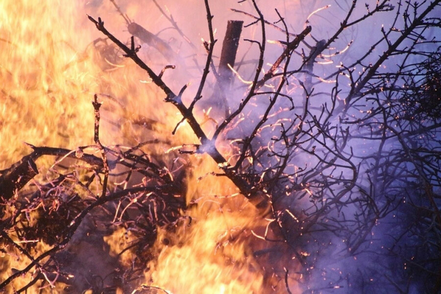 В Приморье во время тушения лесного пожара погиб пожарный