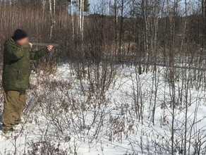 В Амурской области браконьер истребил косуль на полмиллиона