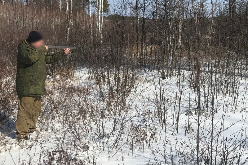 В Амурской области браконьер истребил косуль на полмиллиона