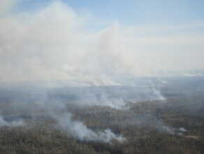 В Амурской области пять дней тушили пожар бушевавший на 10 тысячах гектаров