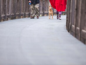 На следующей неделе в Благовещенске должна открыться первая площадка для выгула собак Где