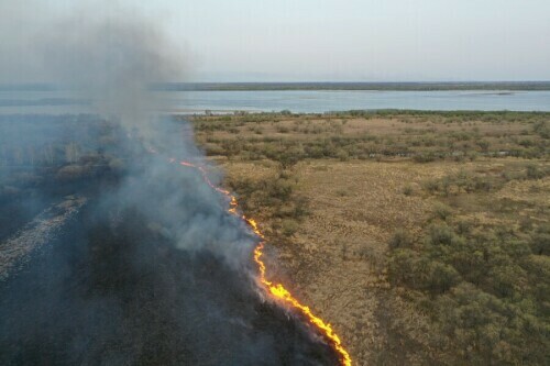 В Амурской области пожарные за сутки потушили 36 гектаров пала Список опасных районов