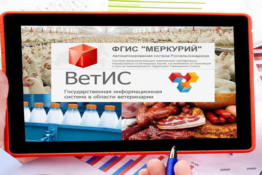 Фантомная площадка с большим оборотом рыбной продукции обнаружена в Амурской области