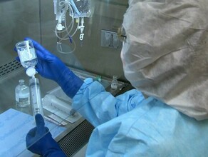 В КНДР за последние сутки еще около 220 тысяч человек заразились лихорадкой