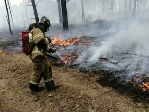 Пожарные  Приамурья  ликвидировали более 640 возгораний сухой растительности