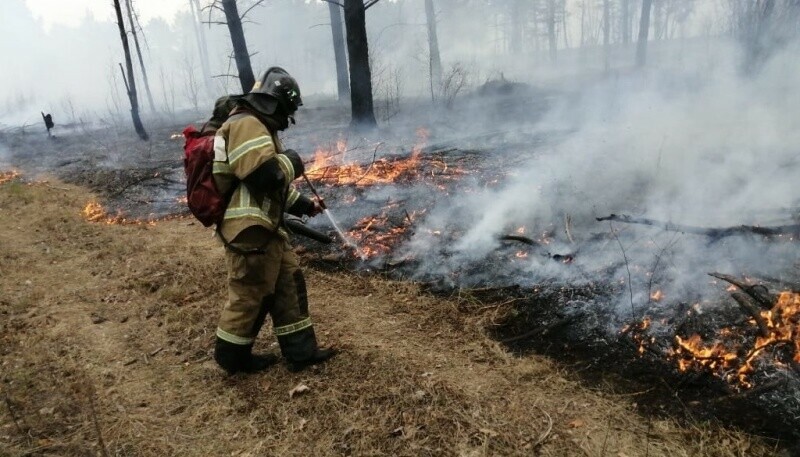 Пожарные  Приамурья  ликвидировали более 640 возгораний сухой растительности