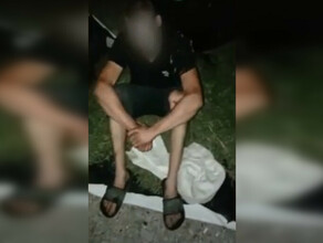 Амурчанин может сесть на 10 лет изза 15 килограммов марихуаны фото видео 