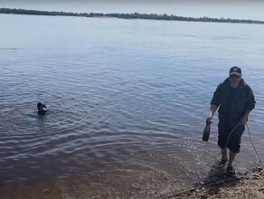 Берега Зеи и ручья Буяновского оказались самыми грязными местами отдыха в Благовещенске видео