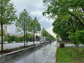 В Амурской области пойдет дождь прогноз погоды на 1 июня