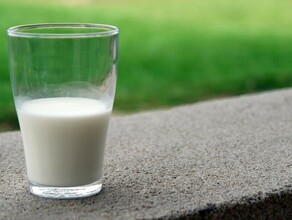 В Амурской области предприятия по производству молочной продукции столкнулись с дефицитом упаковки изза санкций