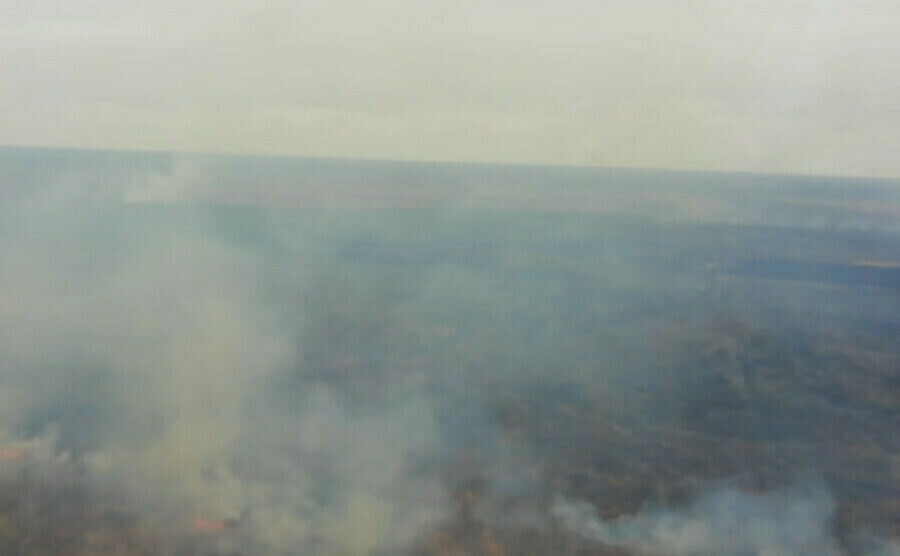 В июле в Амурской области вновь ожидаются лесные пожары
