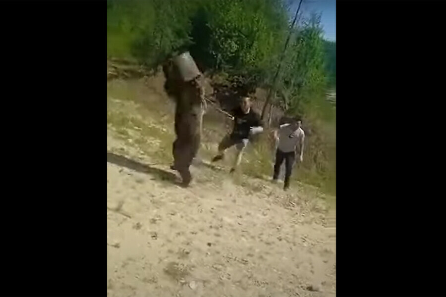 Водители освободили медвежонка застрявшего головой в бидоне видео