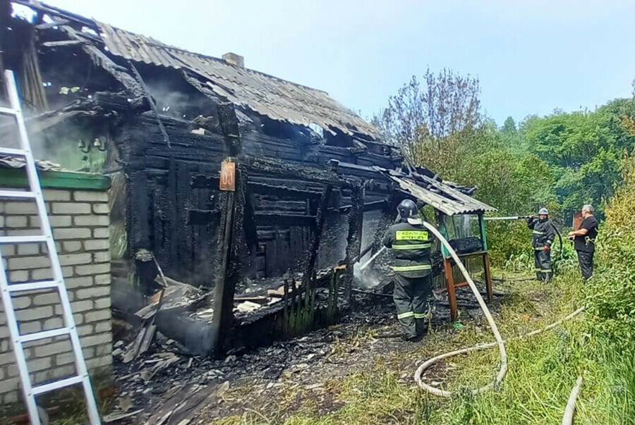 При тушении пожара в поселке Бурея пожарные эвакуировали из подвала котят   