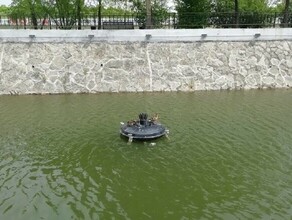 В парке Дружбы сделают новый плавучий домик для уточек Горожан приглашают поучаствовать