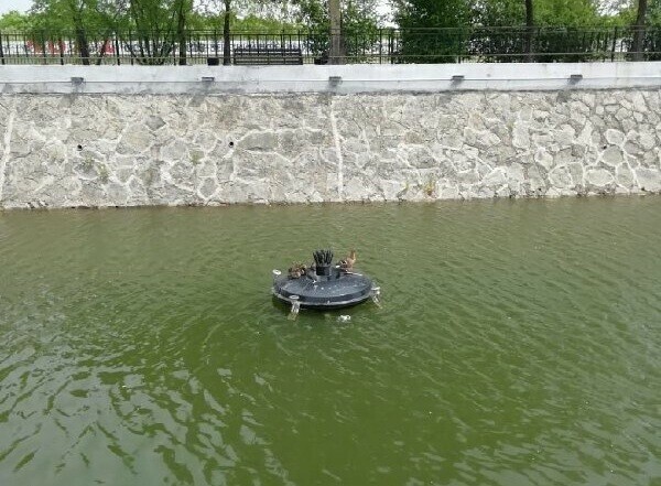 В парке Дружбы сделают новый плавучий домик для уточек Горожан приглашают поучаствовать