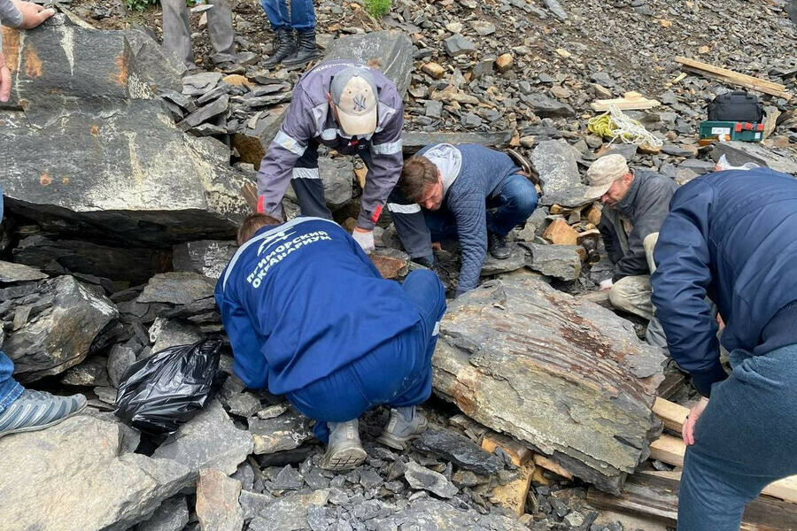 Фрагменты скелета ихтиозавра нашли во Владивостоке на Русском острове фото