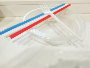 К 2025 году в России запретят одноразовую посуду и упаковку