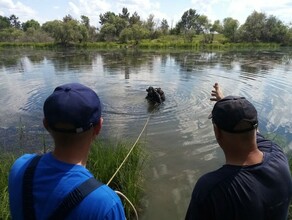 В Амурской области еще один человек утонул в водоеме