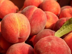 В Амурскую область после длительного перерыва привезли персики и нектарины из Китая