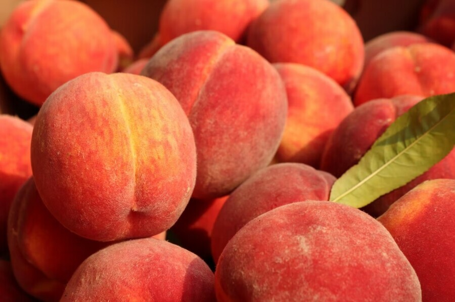 В Амурскую область после длительного перерыва привезли персики и нектарины из Китая