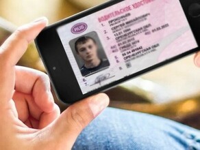 ГИБДД приготовило реформу водительских удостоверений