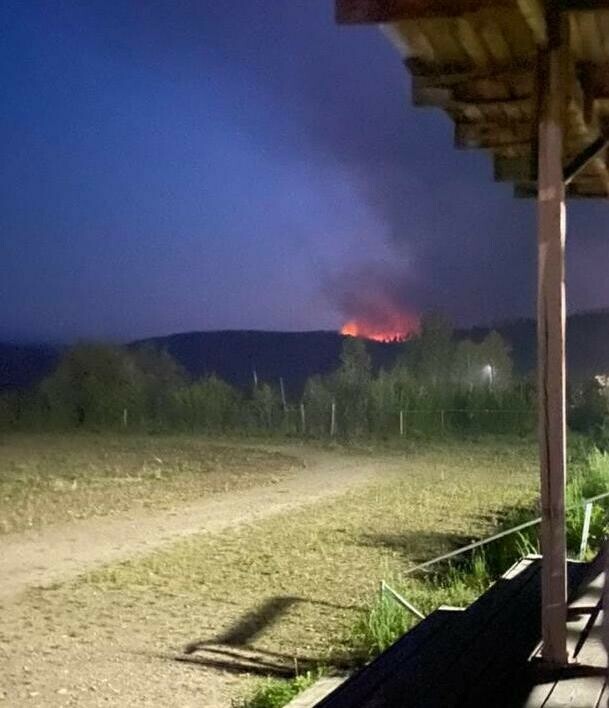 В Амурской области пожар подбирается к эвенкийскому селу Ивановское Огонь уничтожает легендарный вомоховский кедрач 