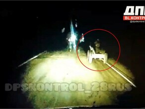 В Амурской области водитель увидел на трассе в темноте нечто Мужчина предупредил об опасности видео