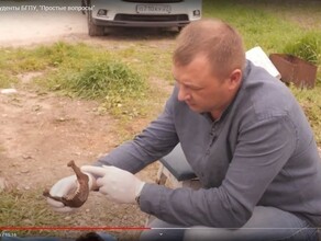 Археологи сложно полностью собрать человека