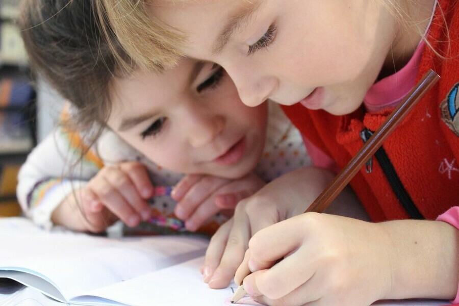 В Амурской области начали записывать детей в первый класс не по месту регистрации