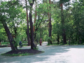 Очень контрастно на фоне города специалист оценил Первомайский парк Благовещенска после реконструкции