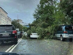 Изза тайфуна Майсак в Приморье погиб человек В регионе масштабные разрушения видео