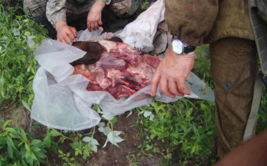 В Амурской области задержали браконьеров убивших двух лосей фото