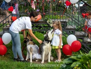 Метровые шахматы и кино под открытым небом как в Благовещенске отметили День семьи любви и верности