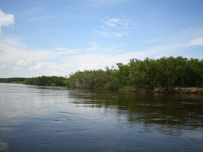 В Приамурье в реке Томь нашли тело мужчины которого искали неделю