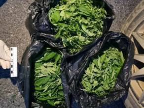 Полиция Циолковского задержала амурчанина перевозившего более килограмма марихуаны