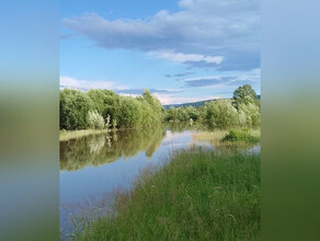 В Амурской области дали новый прогноз прохождения паводка 