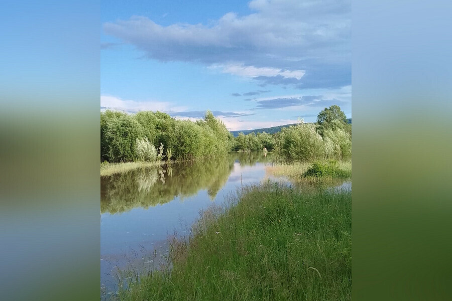 В Амурской области дали новый прогноз прохождения паводка 