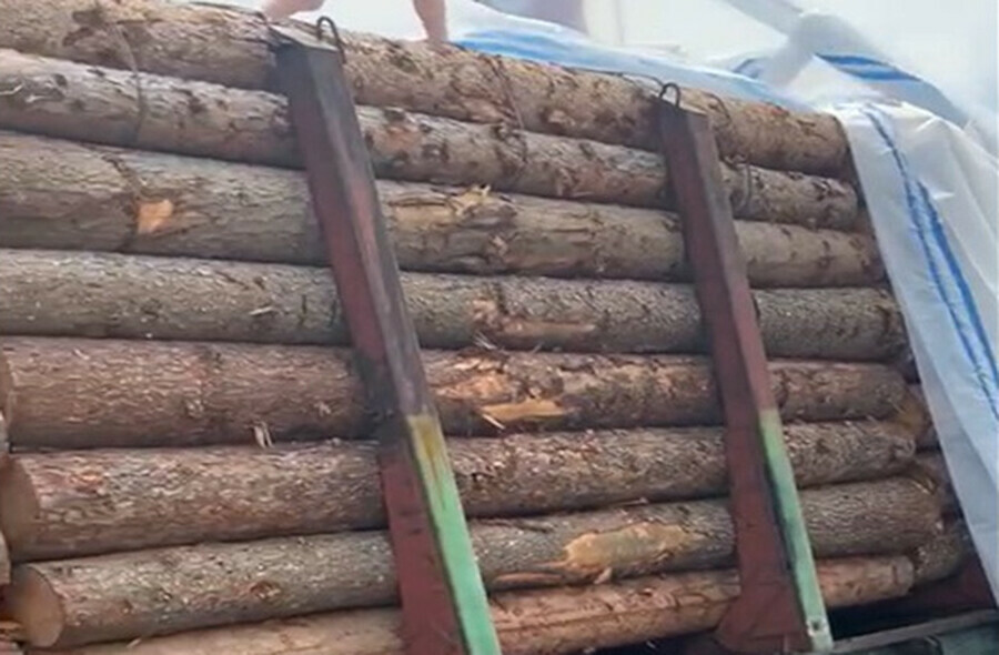 В Амурской области тщательно проверяют древесину идущую в КНР через новый пункт пропуска