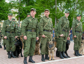 Госдума планирует наделить пограничников  статусом ветеранов боевых действий