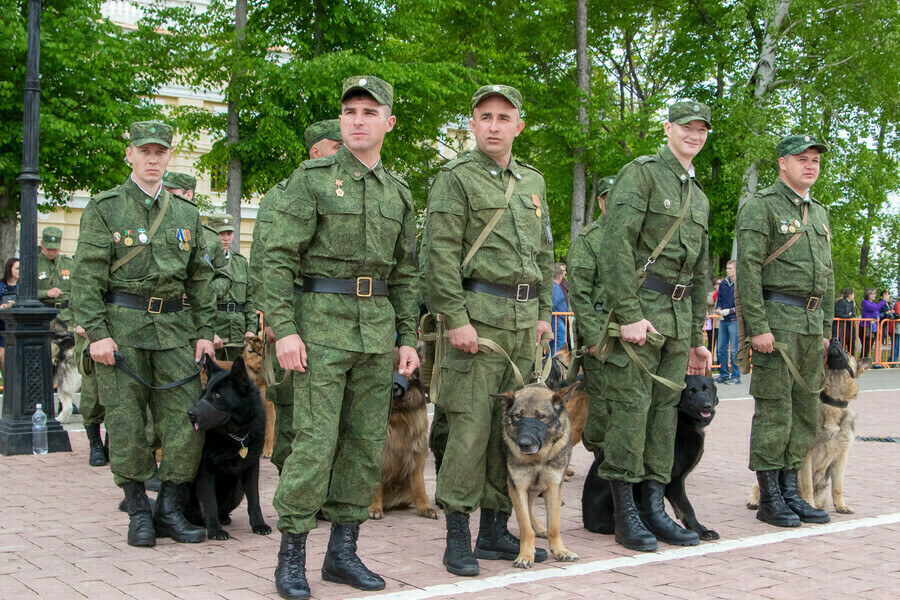 Госдума планирует наделить пограничников  статусом ветеранов боевых действий