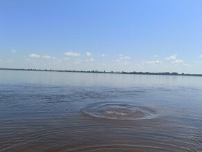 Молодой человек утонул в Амурской области