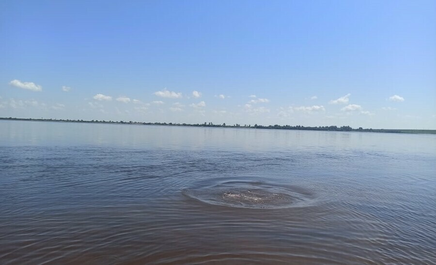 Молодой человек утонул в Амурской области