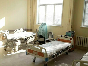 В больницах Амурской области от коронавируса лечатся 663 пациента