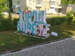 Вандалы испортили артобъект на площадке фестиваля цветов в Благовещенске